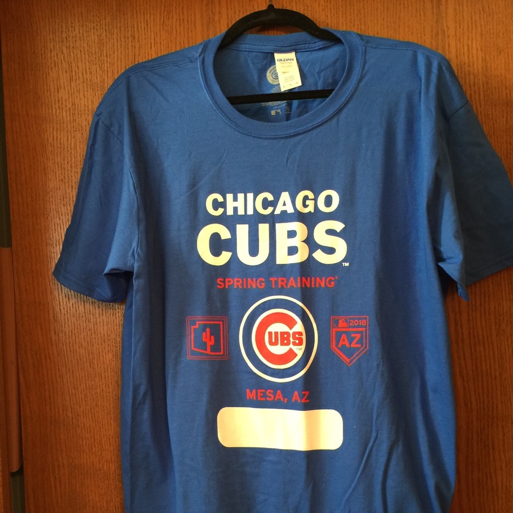 ⚾️💙NWOT Chicago Cubs tee💙⚾️